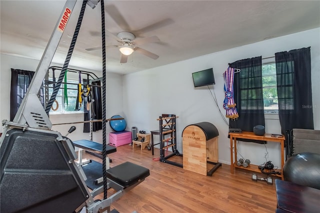 exercise room featuring hardwood / wood-style flooring and ceiling fan