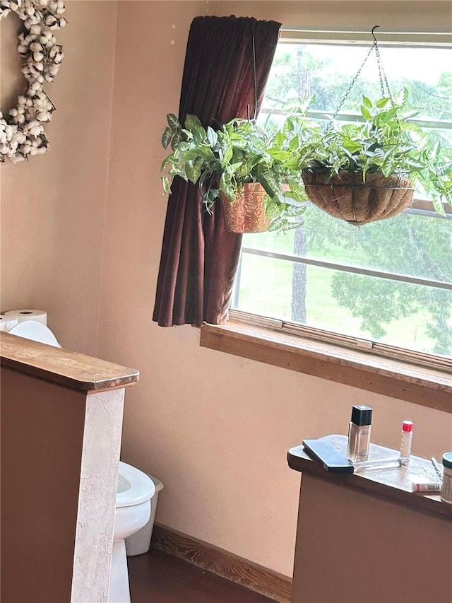 bathroom featuring plenty of natural light and toilet