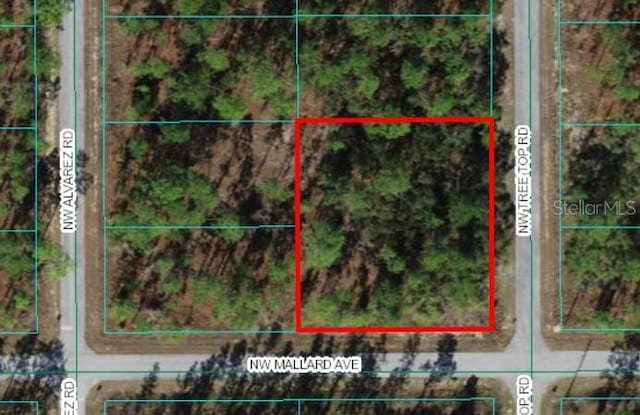 0 Treetop Rd, Dunnellon FL, 34431 land for sale