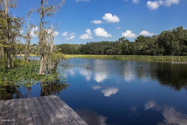 view of dock with a water view