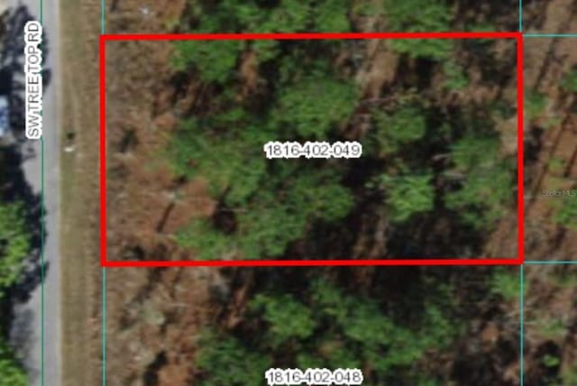 SW Tree Top Rd, Dunnellon FL, 34431 land for sale