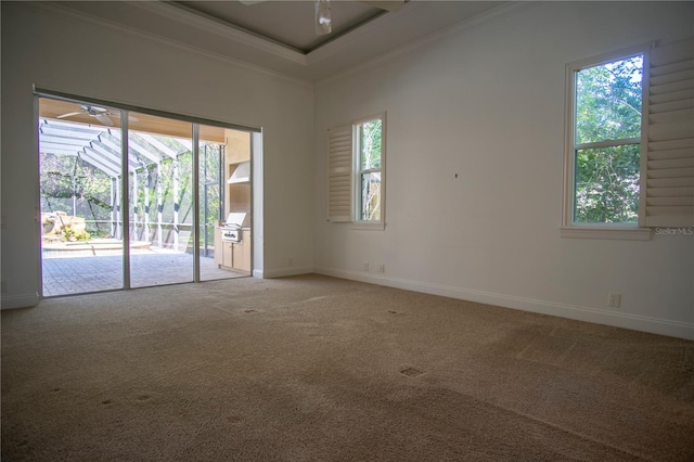 empty room featuring crown molding, carpet, and ceiling fan