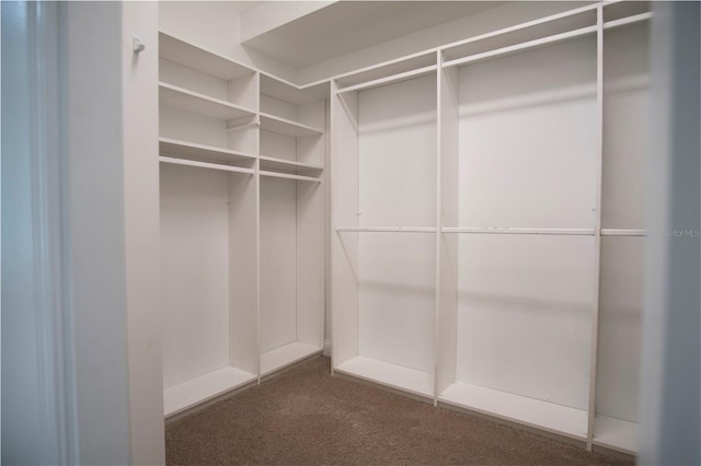 spacious closet with dark colored carpet