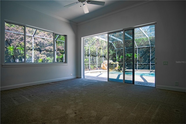 unfurnished room featuring ornamental molding, ceiling fan, and carpet