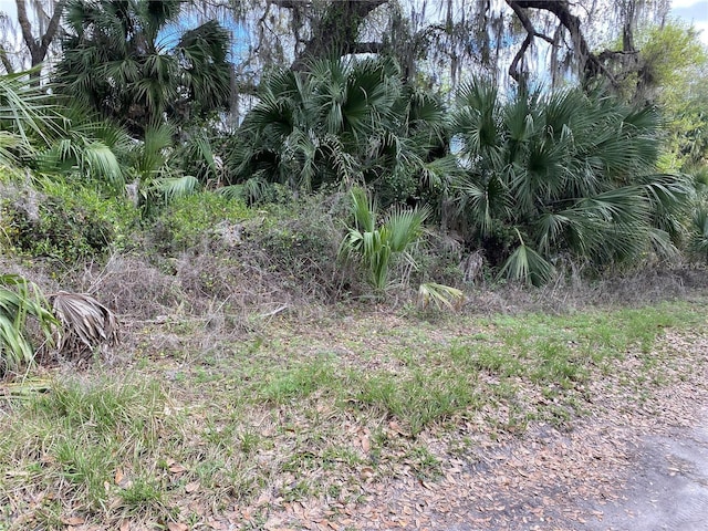 Listing photo 3 for XXX15145 NE 35th Avenue Rd NE, Citra FL 32113