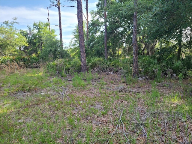 8436 N Erin Dr, Crystal River FL, 34428 land for sale