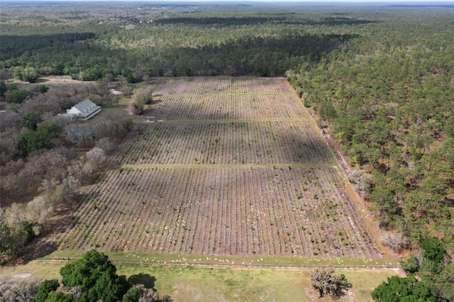 view of birds eye view of property