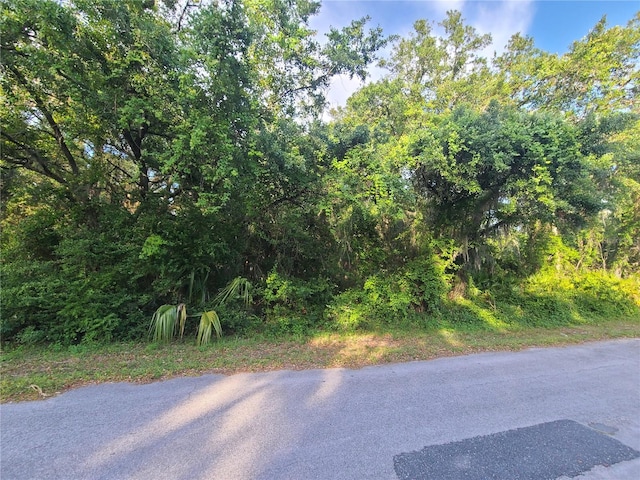 9239 N Buttercup Way, Crystal River FL, 34428 land for sale