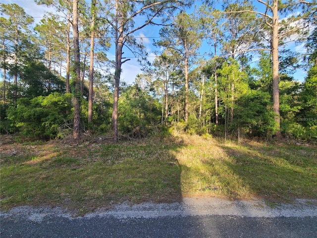 9263 N Bonsai Ave, Crystal River FL, 34428 land for sale