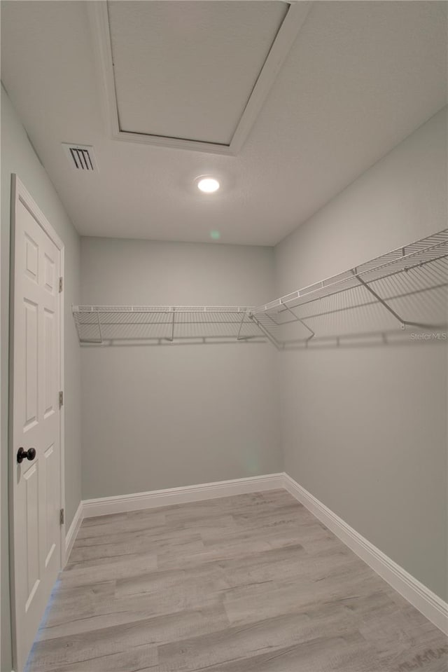 walk in closet with light hardwood / wood-style flooring