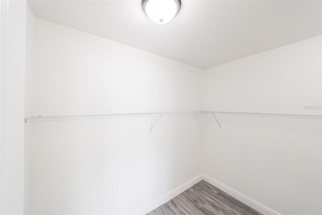 walk in closet with light wood-type flooring