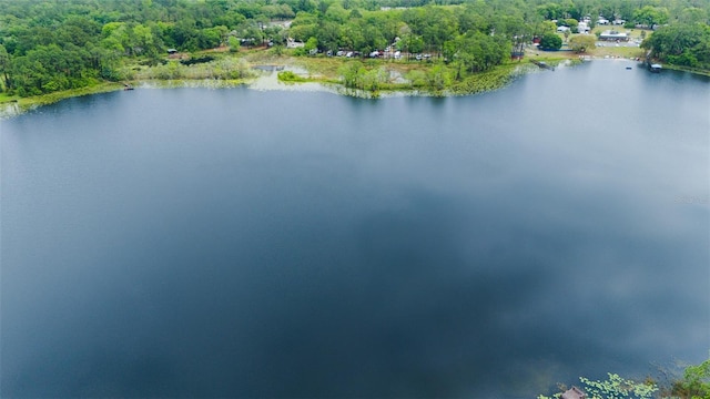 aerial view with a water view and a wooded view