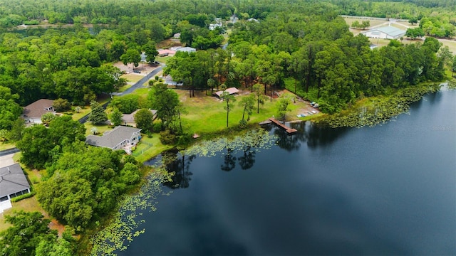 birds eye view of property with a water view and a view of trees