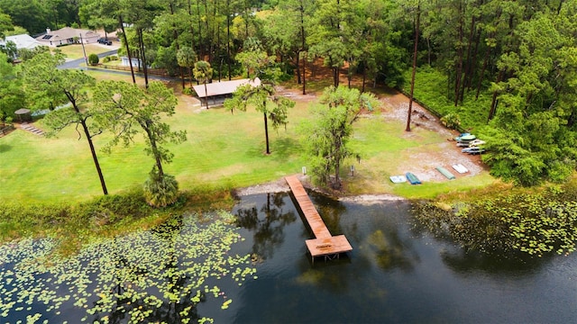 bird's eye view with a water view and a forest view