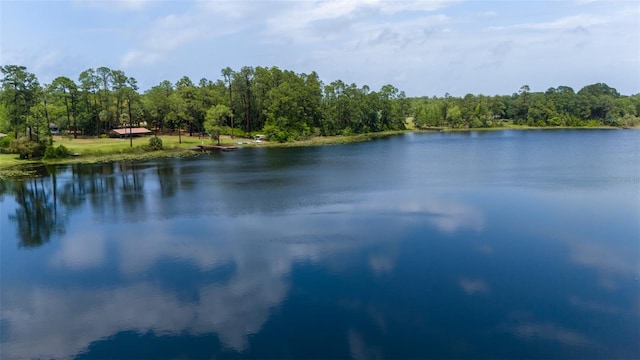 view of water feature featuring a wooded view