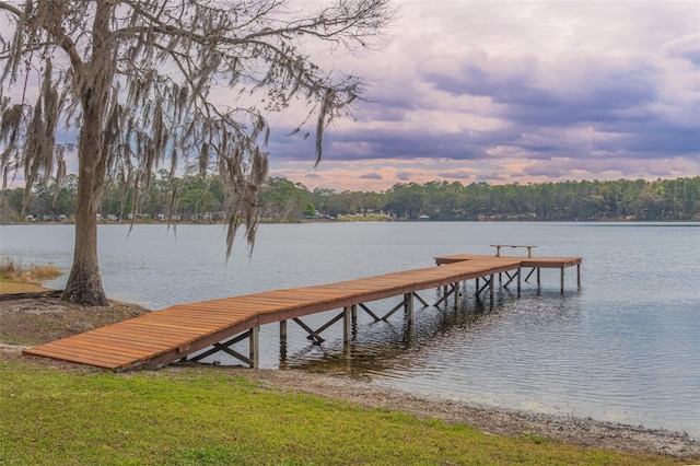 dock area with a water view