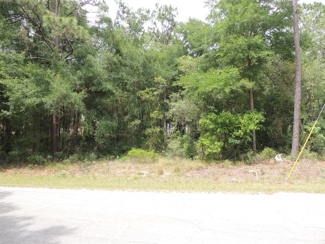 15955 NE 13th St, Williston FL, 32696 land for sale