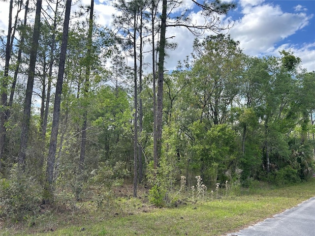 Listing photo 3 for 00 NW Redwing Rd, Dunnellon FL 34431