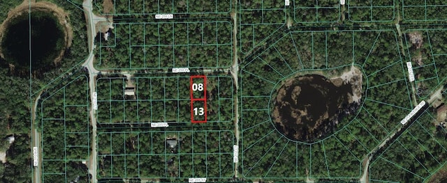 00 NE 236th Pl, Fort Mc Coy FL, 32134 land for sale