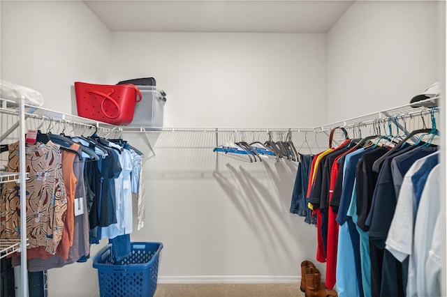 spacious closet featuring carpet floors