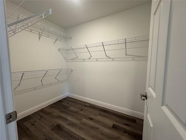 spacious closet with dark hardwood / wood-style flooring