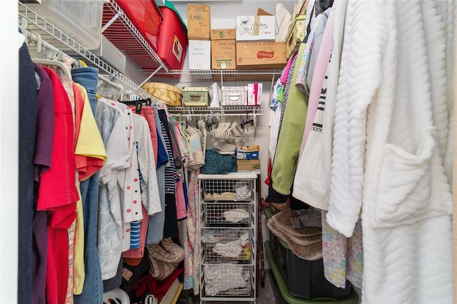 view of walk in closet