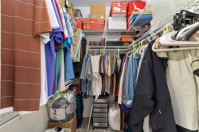 view of walk in closet