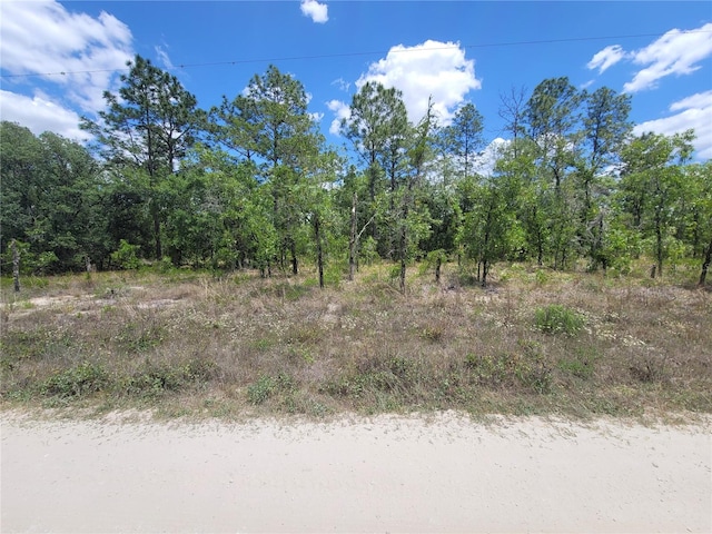 LOT6 SW 121st Ter, Dunnellon FL, 34432 land for sale