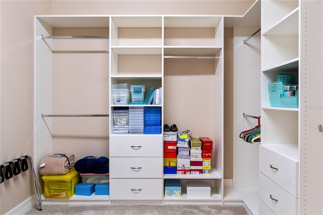 spacious closet featuring carpet