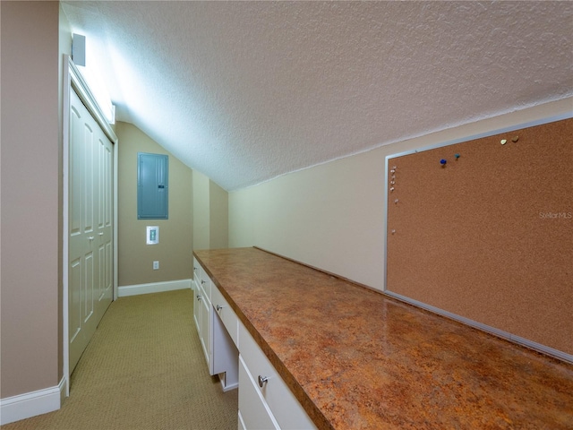 additional living space with light carpet, a textured ceiling, electric panel, and vaulted ceiling