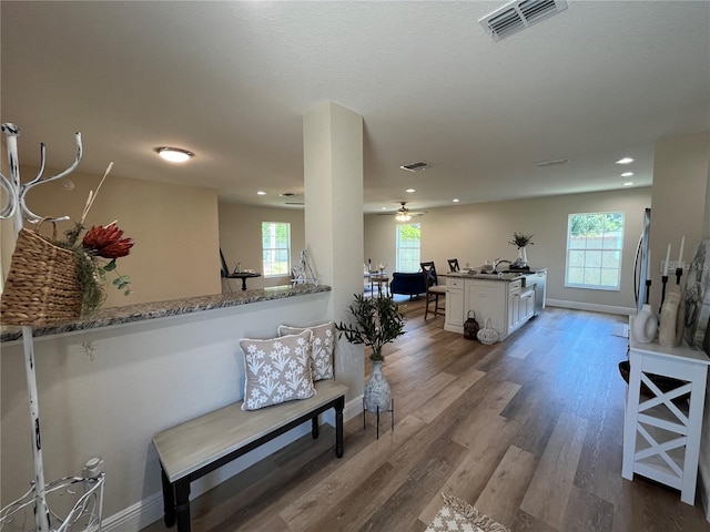 living room featuring a healthy amount of sunlight and wood-type flooring