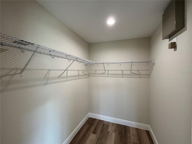 spacious closet featuring dark wood-type flooring