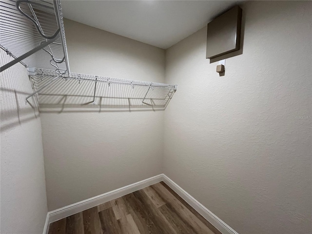 walk in closet with wood-type flooring