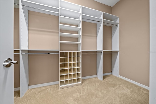 spacious closet featuring carpet floors