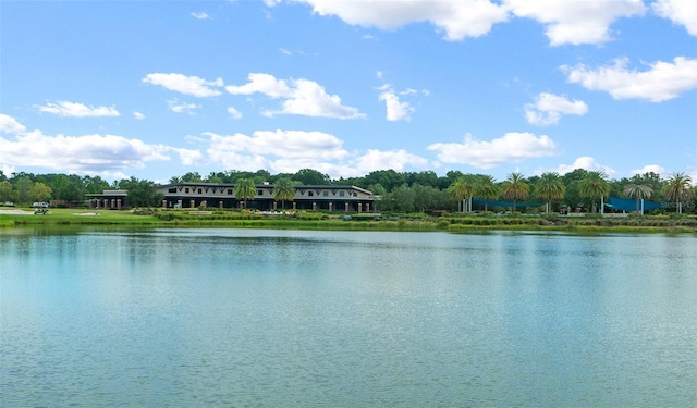 view of water feature