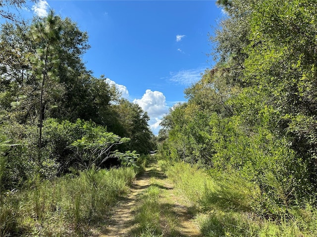 000 NE 156th Ave, Williston, FL 32696 - photo 2