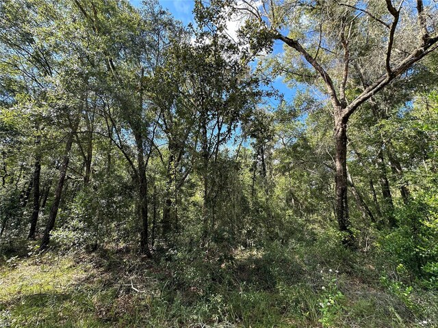 000 NE 156th Ave, Williston, FL 32696 - photo 3