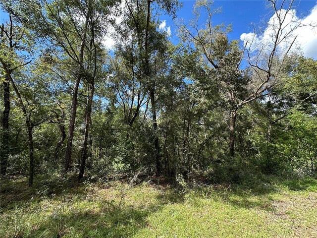 000 NE 156th Ave, Williston, FL 32696 - photo 4