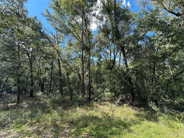 000 NE 156th Ave, Williston, FL 32696 - photo 5