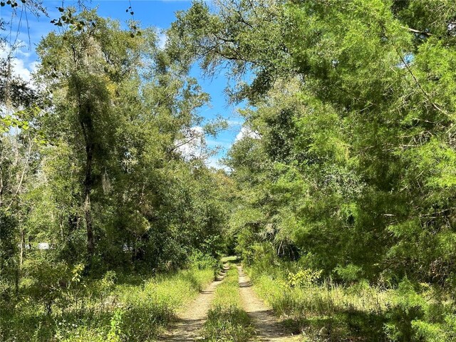 000 NE 156th Ave, Williston, FL 32696 - photo 7