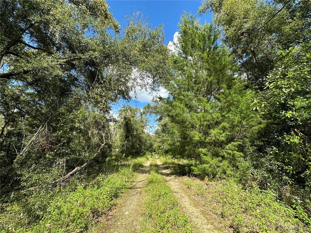 000 NE 156th Ave, Williston, FL 32696 - photo 8