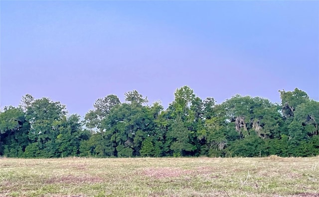 view of mother earth's splendor