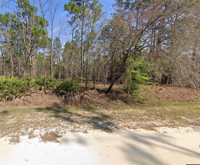 Listing photo 2 for TBA SW 78th Pl, Dunnellon FL 34432