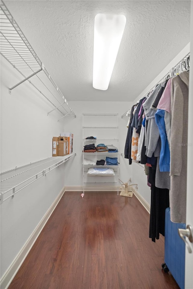 spacious closet with dark hardwood / wood-style flooring