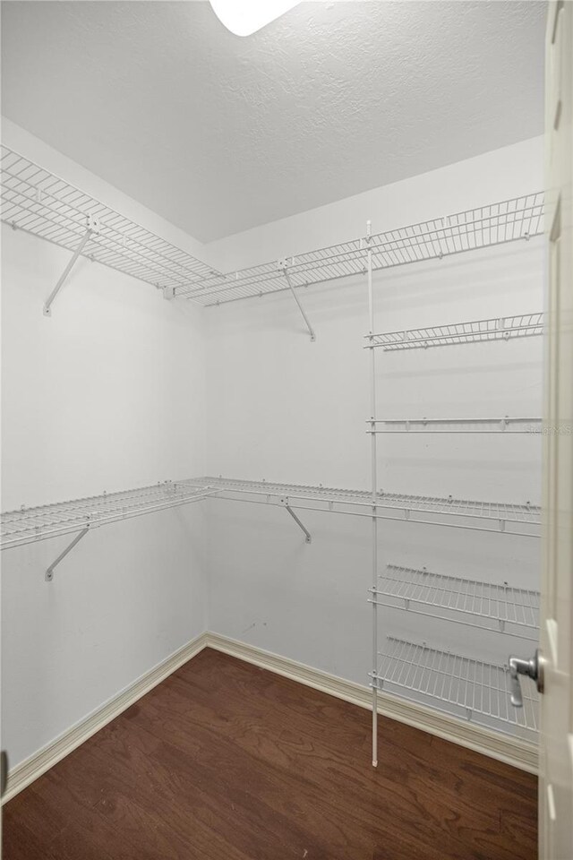 spacious closet with dark wood-type flooring