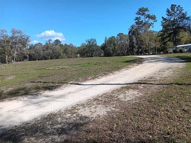 145 Palm Dr, Bronson, FL 32621 - photo 5