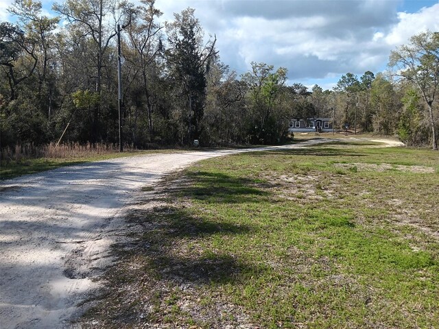 145 Palm Dr, Bronson, FL 32621 - photo 7