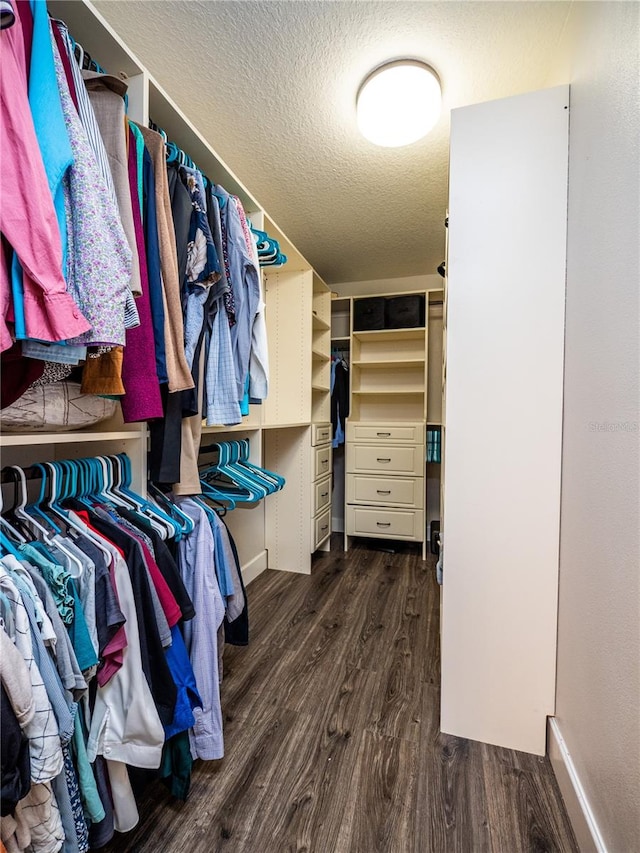 spacious closet with dark hardwood / wood-style flooring