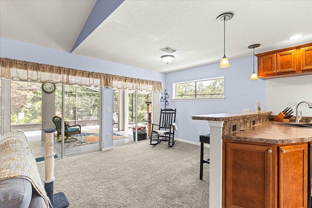 exercise room featuring light carpet, sink, and a textured ceiling