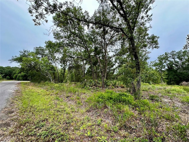 LOT2 Guava Pl, Ocklawaha FL, 32179 land for sale